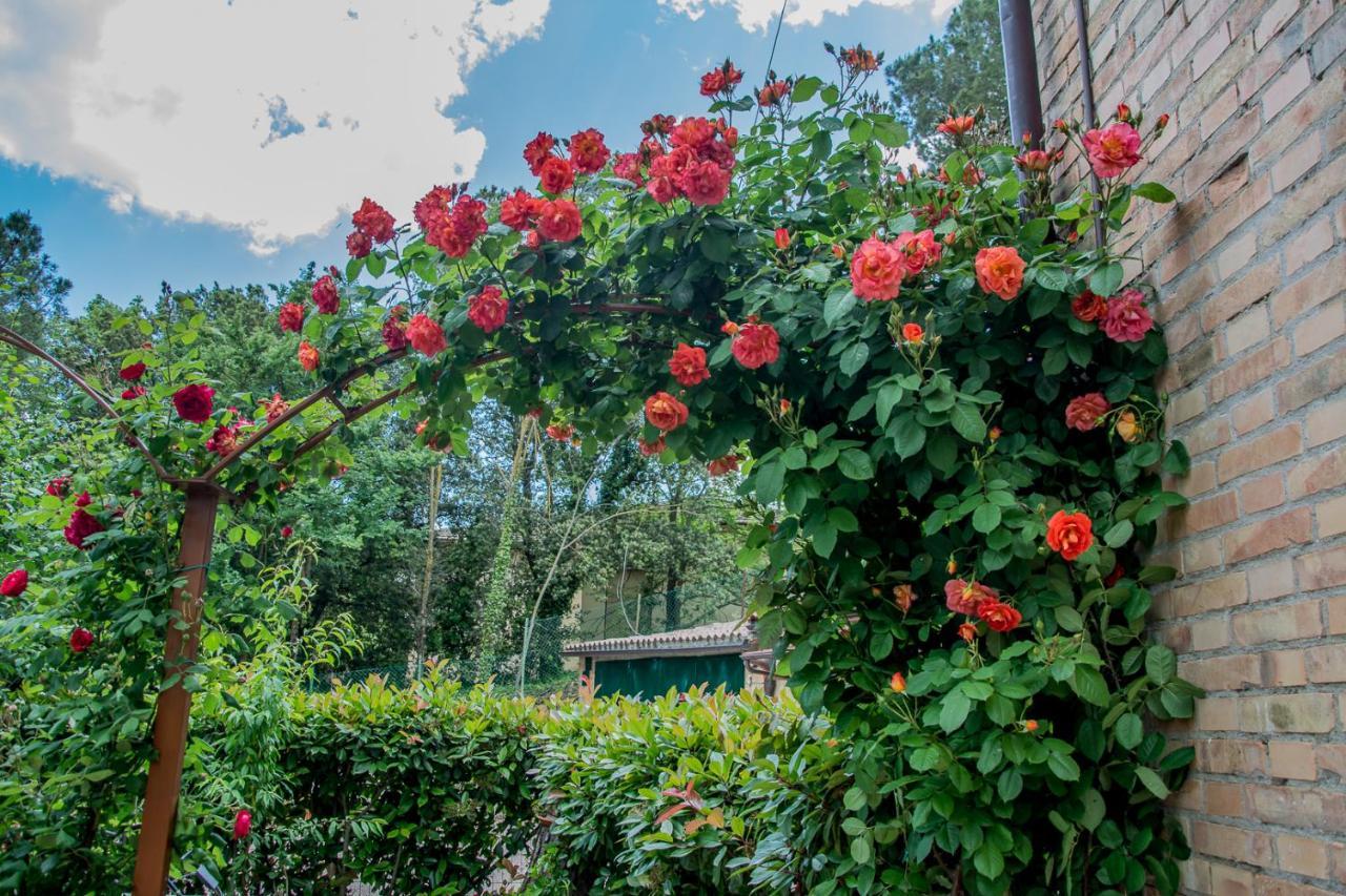 I Due Cipressi Guest House Torrenieri Exterior foto